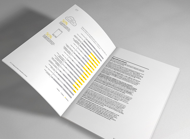 Diagramação interna livreto Ernst Young