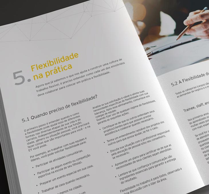 Diagramação interna Diagramação interna livreto Flex Guide