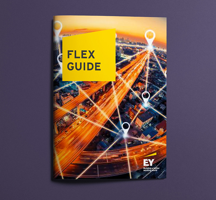 Capa livreto Flex Guide EY Capa para o livreto Flex Guide EY