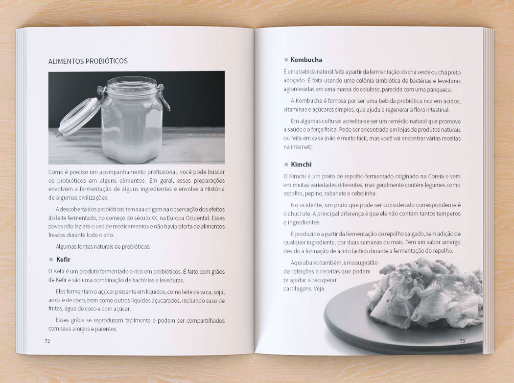 Projeto interno livro Projeto gráfico Livro Adeus Dor Crônica