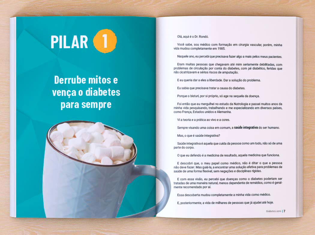 Projeto interno livro Projeto gráfico Livro Diabetes Zero