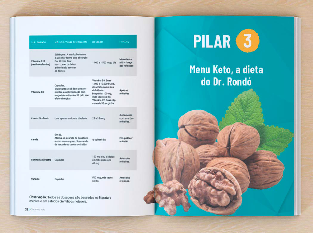 Projeto interno livro Projeto gráfico Livro Diabetes Zero